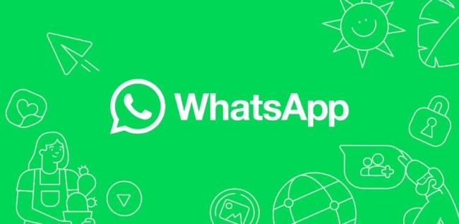 В WhatsApp появятся никнеймы